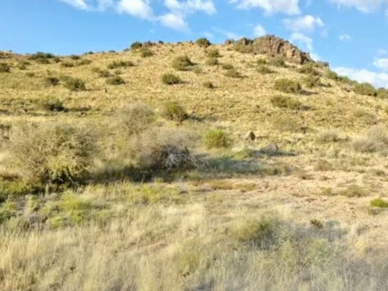 A scenic view of the natural landscape featuring rolling hills and indigenous vegetation typical of the farm property.
