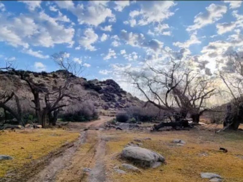 A scenic view of the farm landscape featuring natural rocky terrain, mature trees, and an unpaved access track under a bright sky.