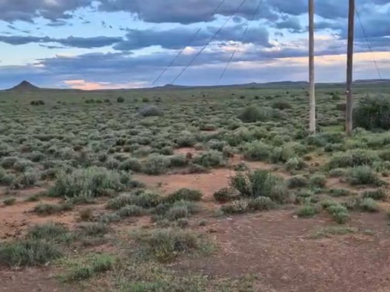 Expansive rural landscape view featuring natural vegetation and utility poles under a dramatic evening sky.
