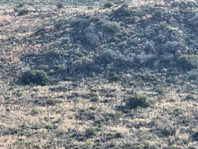A scenic view of the natural rocky landscape and indigenous vegetation characteristic of the farm property.
