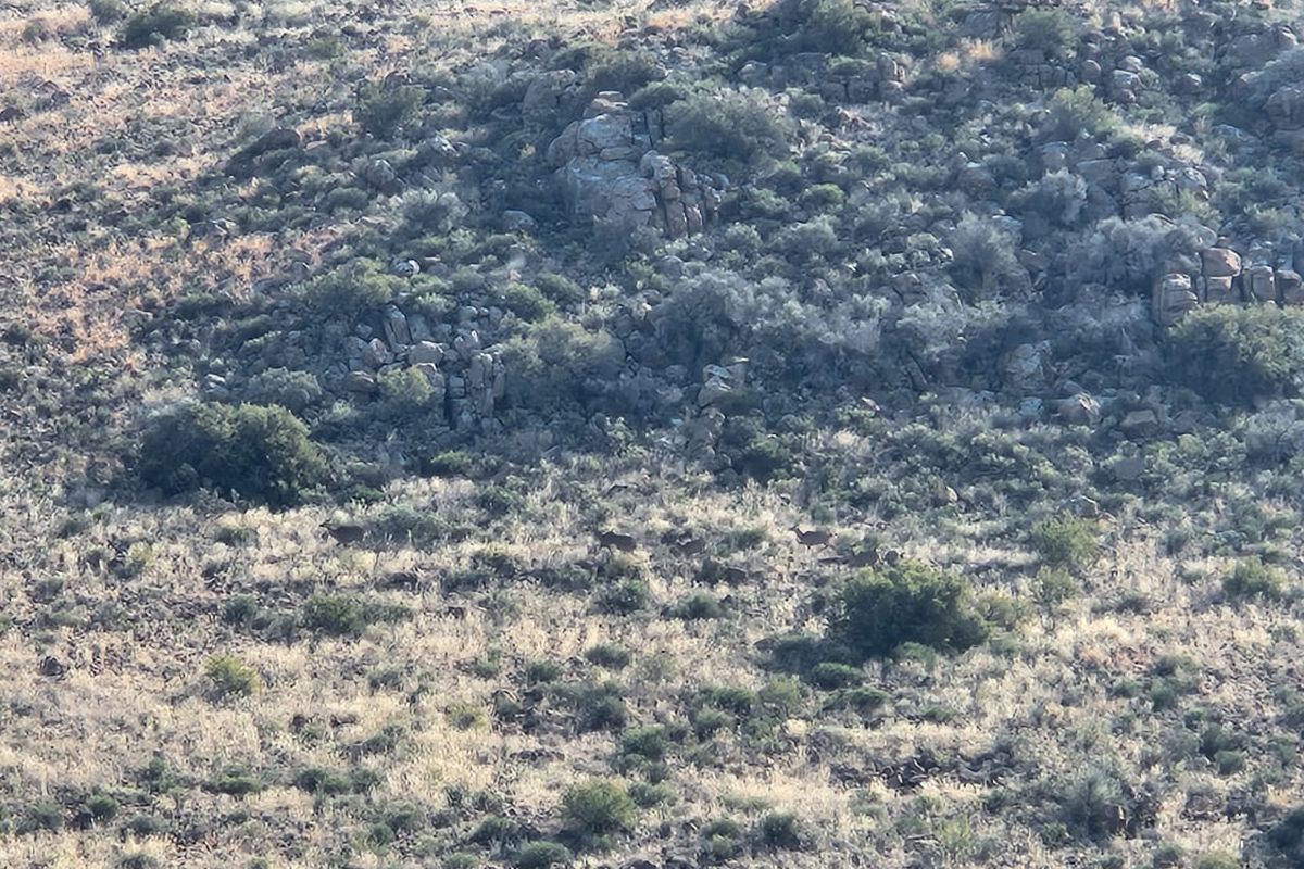A scenic view of the natural rocky landscape and indigenous vegetation characteristic of the farm property.