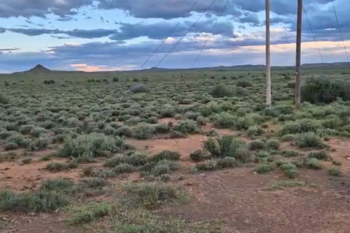 Expansive rural landscape view featuring natural vegetation and utility poles under a dramatic evening sky.