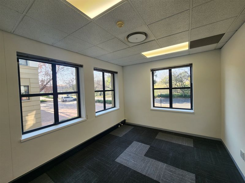 A bright, empty office space featuring carpet tiles, a suspended ceiling with recessed lighting, and large windows providing natural light.