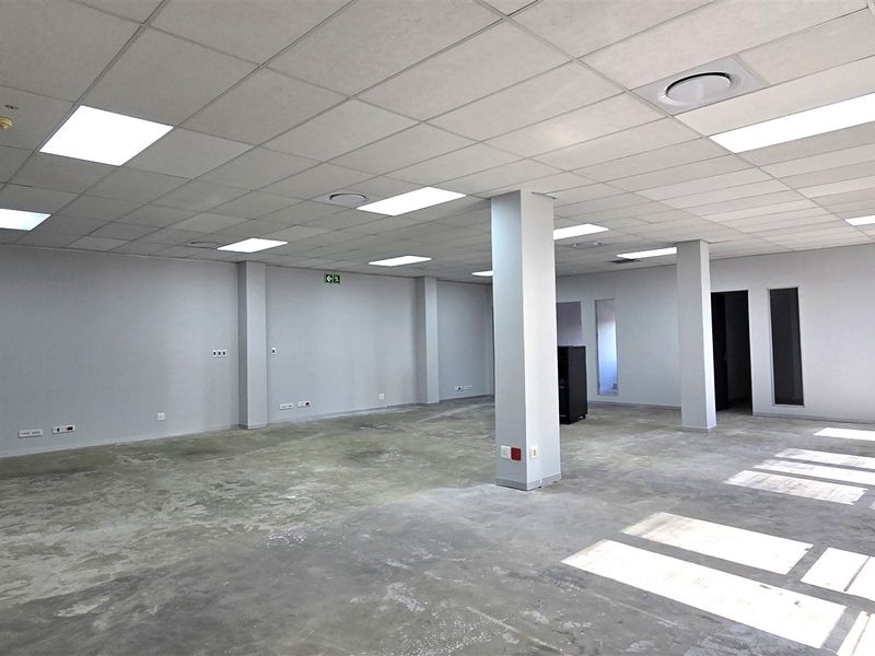 A spacious, open-plan office area featuring a suspended ceiling with recessed lighting, structural columns, and unfinished concrete flooring, ready for custom fit-out.