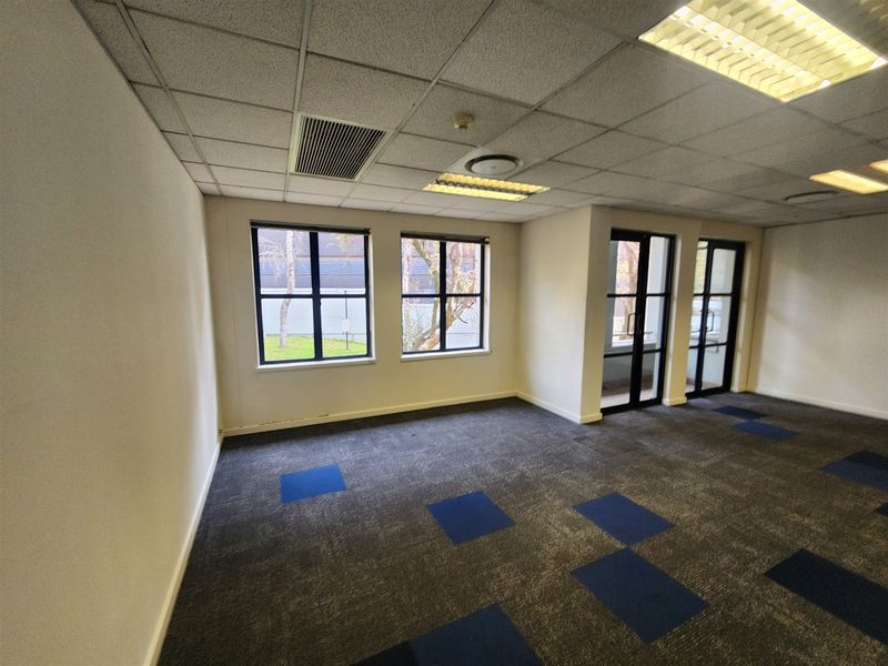 A vacant office space featuring a suspended ceiling with recessed lighting, carpet tiles, and large windows providing natural light.