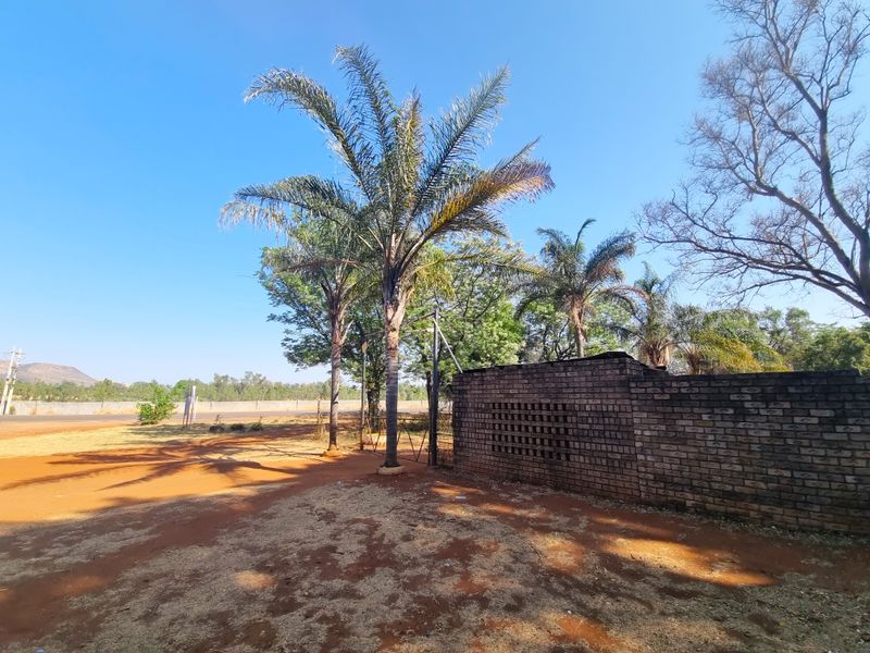 Front exterior view of the farm property featuring a brick boundary wall, metal gate, and established palm trees on a dry, open ground area.