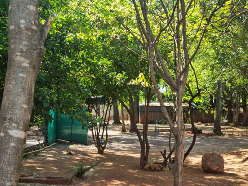 A shaded, mature garden area on the farm property featuring established trees and natural ground cover.