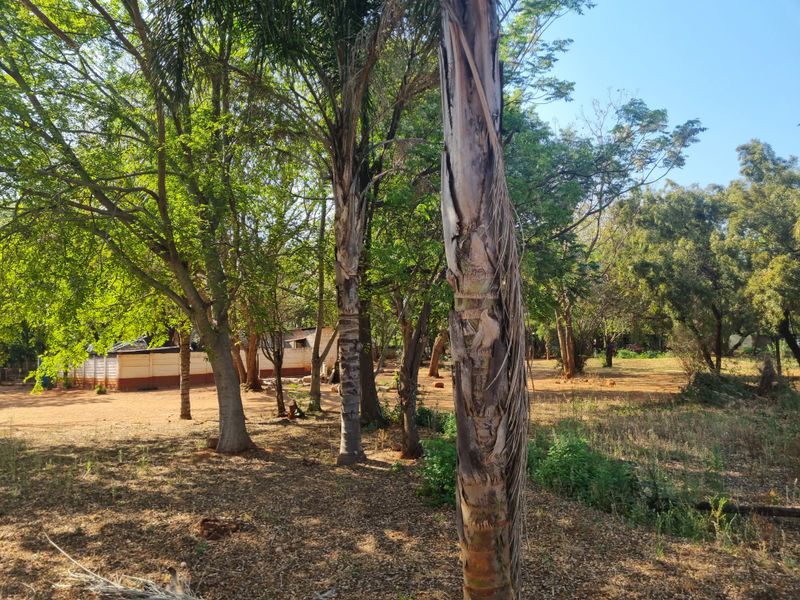 A view of the expansive garden area featuring mature trees and open land on the farm property.