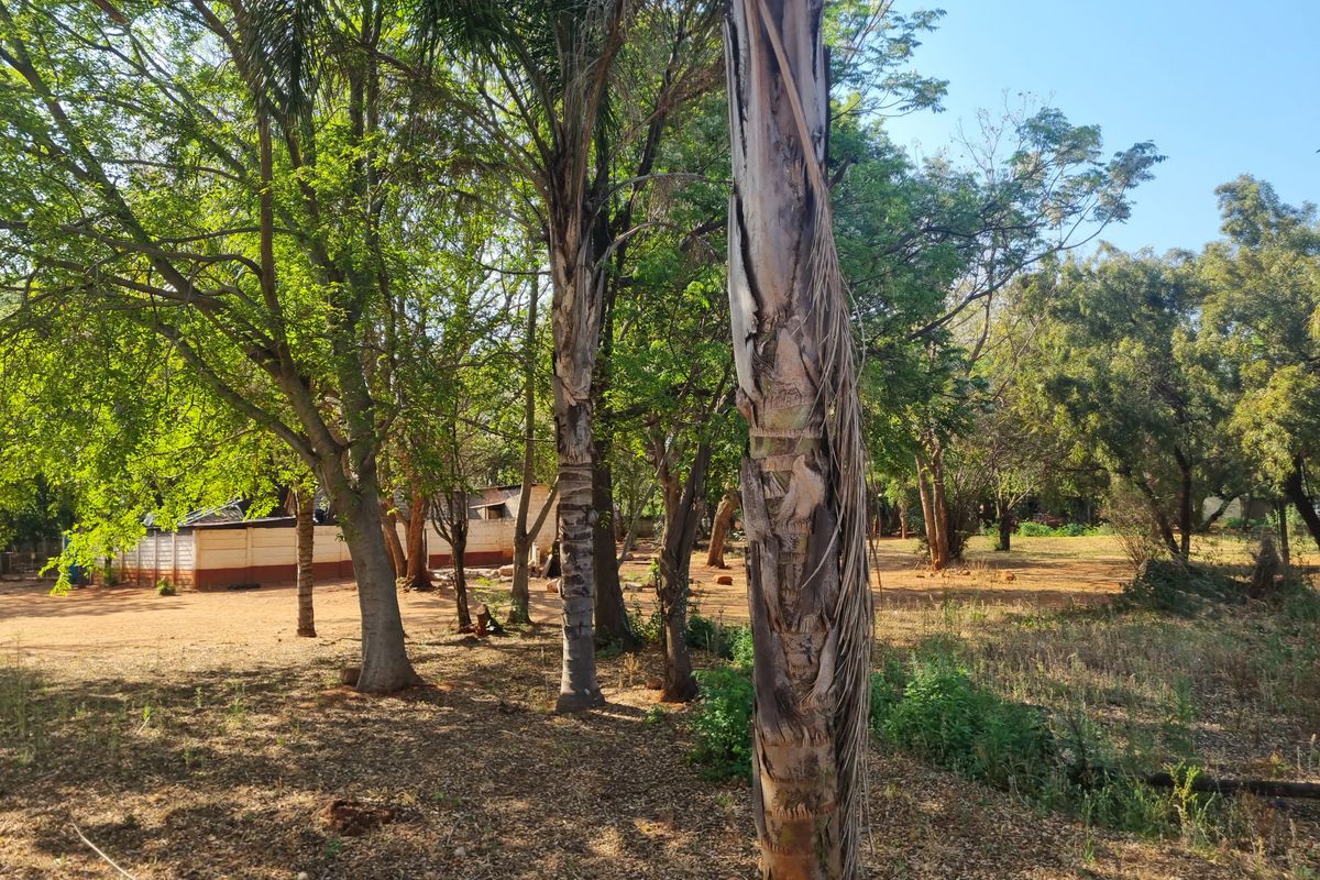A view of the expansive garden area featuring mature trees and open land on the farm property.