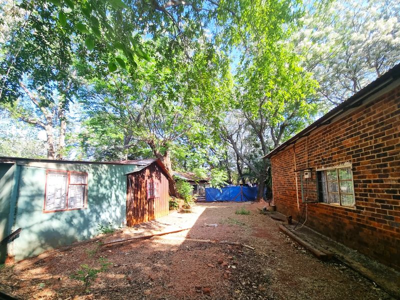 A view of the rear yard area featuring a mix of brick and metal-clad outbuildings surrounded by mature trees.