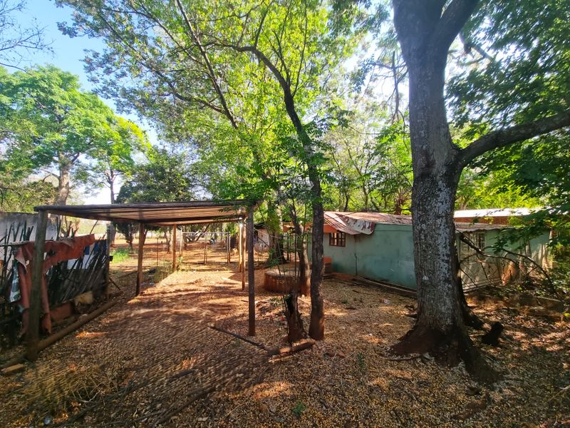 Rear exterior view of the farm property featuring a metal roof structure, mature trees, and weathered outbuildings requiring maintenance.