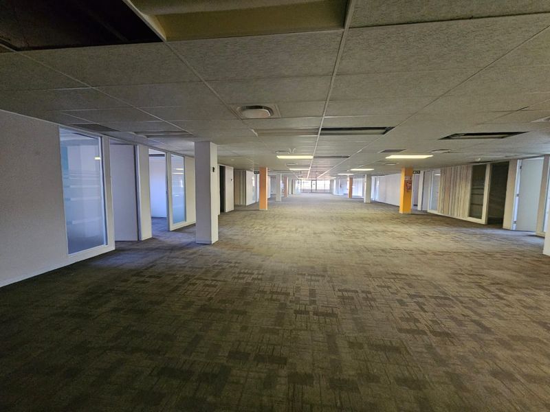 Expansive open-plan office space featuring glass partitions, carpeted flooring, and a suspended ceiling grid with some maintenance required.