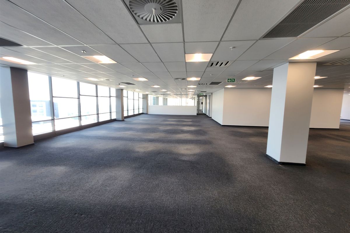 A spacious, open-plan office area featuring large windows, suspended ceiling tiles with integrated lighting, and carpeted flooring.