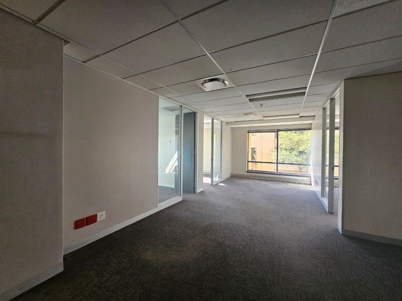 An empty office space featuring glass partition walls, suspended ceilings, and carpeted flooring, offering a versatile layout for professional use.