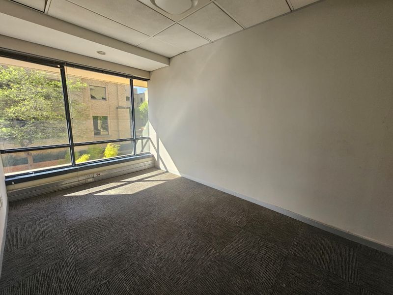 A vacant office space featuring carpet tiles, a suspended ceiling, and a large window providing natural light.