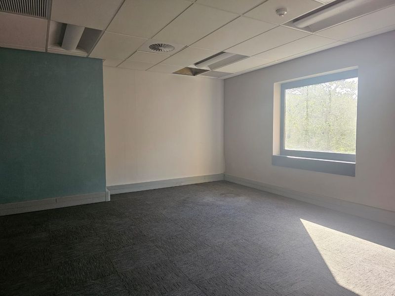 An empty office space featuring carpet tiles, a suspended ceiling with recessed lighting, and a large window providing natural light.