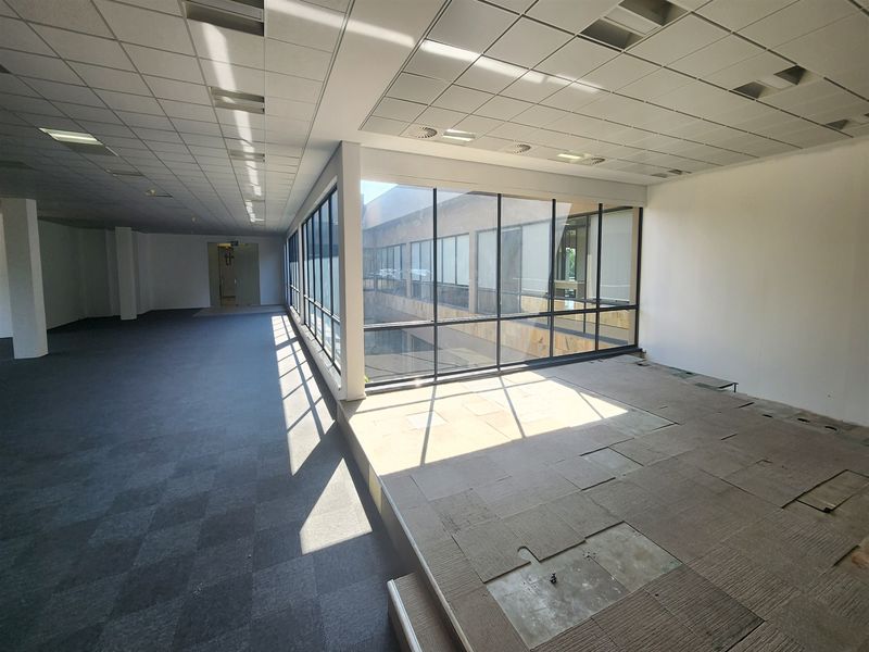 646.5sqm Offices to let in Wierda Valley, Sandton - Photo 10