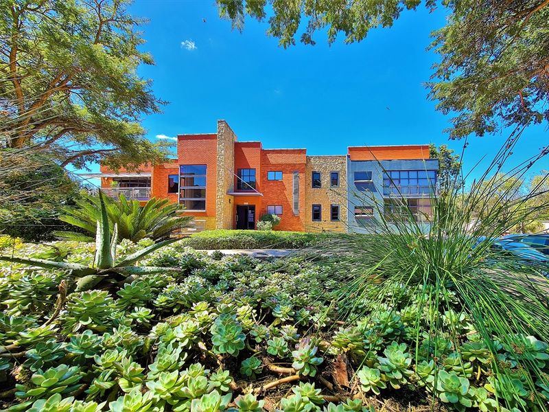124m2 Modern Office to Let in Allen's Nek - Photo 3