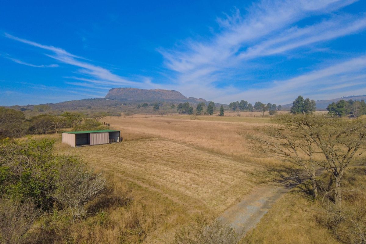 Lifestyle Smallholding with Dam Views – Just 10 Minutes from Pietermaritzburg & Albert Falls Dam - Photo 5