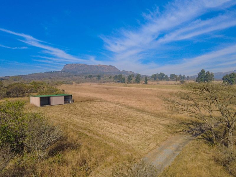 Lifestyle Smallholding with Dam Views – Just 10 Minutes from Pietermaritzburg & Albert Falls Dam - Photo 5