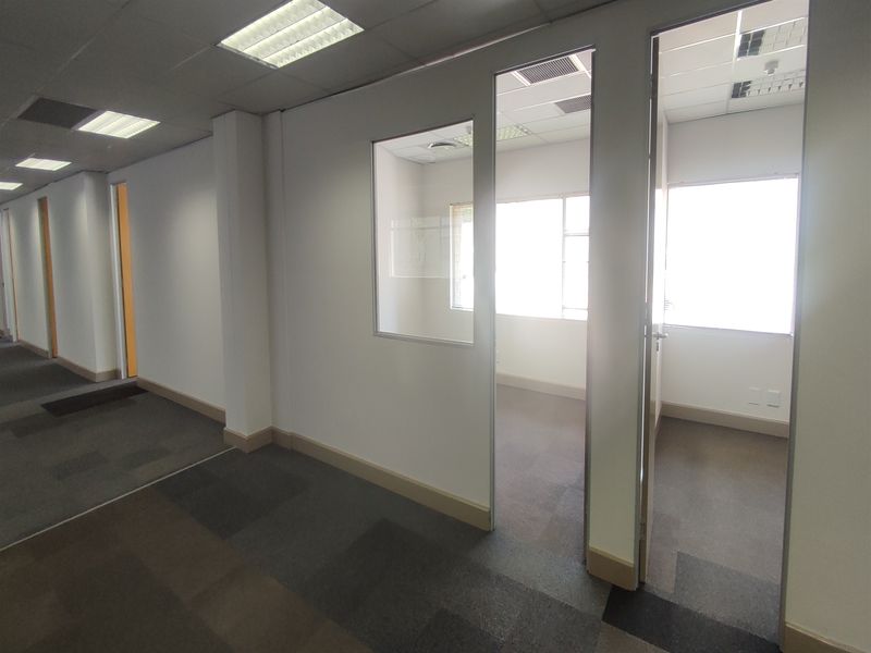 A bright, vacant office space featuring modular carpet tiles, suspended ceilings with recessed lighting, and glass-paneled partition walls.