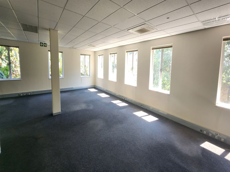 A spacious, empty office area featuring a suspended ceiling, carpeted flooring, and multiple windows providing ample natural light.