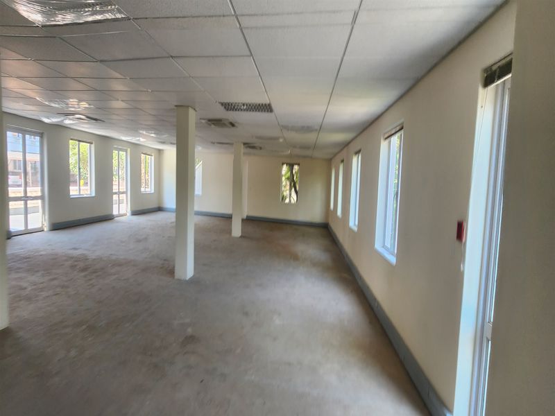 An expansive, vacant open-plan office space featuring a suspended ceiling, structural columns, and abundant natural light from multiple windows.