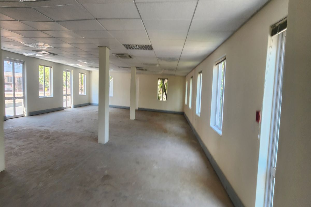 An expansive, vacant open-plan office space featuring a suspended ceiling, structural columns, and abundant natural light from multiple windows.
