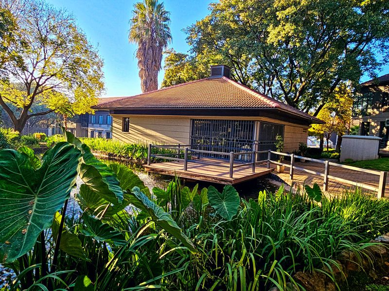 A scenic view of a rear office building exterior featuring a wooden deck over a water feature, surrounded by mature trees and landscaped gardens.