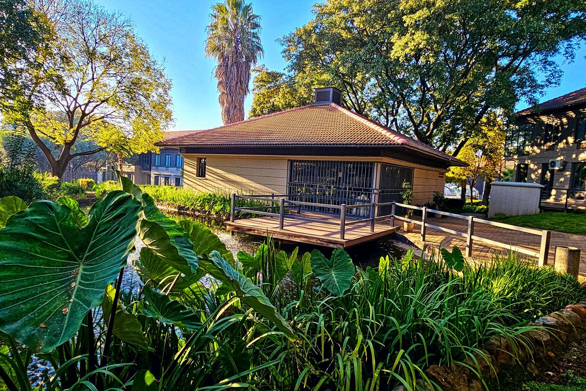 A scenic view of a rear office building exterior featuring a wooden deck over a water feature, surrounded by mature trees and landscaped gardens.