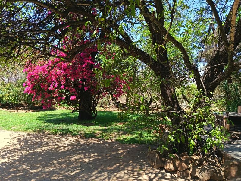 Lush 12ha Farm For Sale Near Buffelspoort – With River, Views & Rental Income - Photo 9