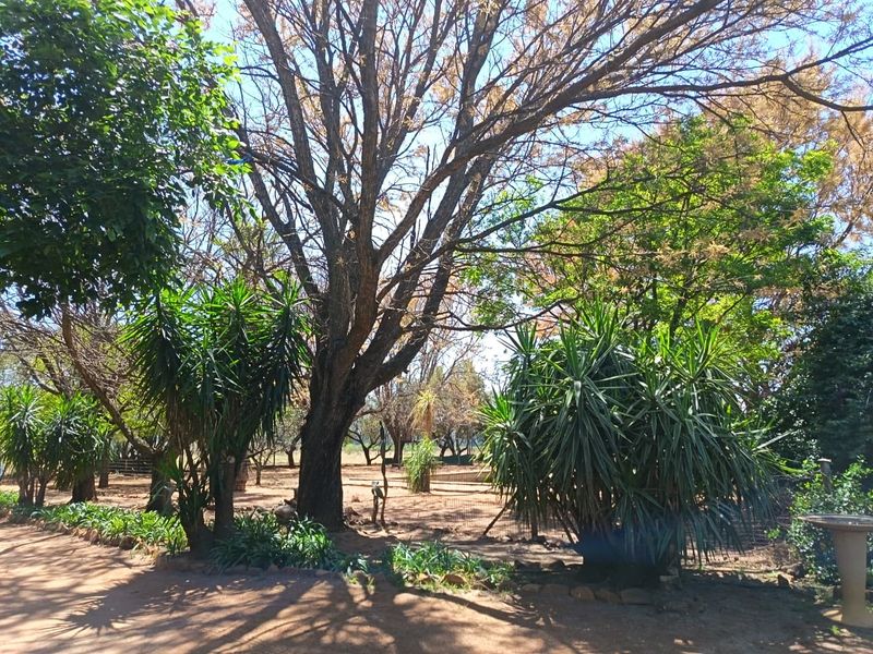 Lush 12ha Farm For Sale Near Buffelspoort – With River, Views & Rental Income - Photo 8