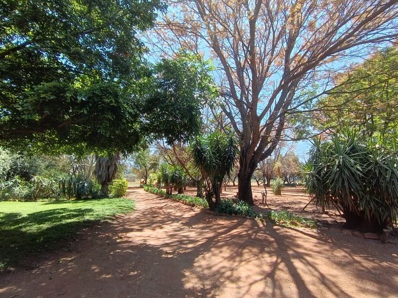 Lush 12ha Farm For Sale Near Buffelspoort – With River, Views & Rental Income - Photo 7