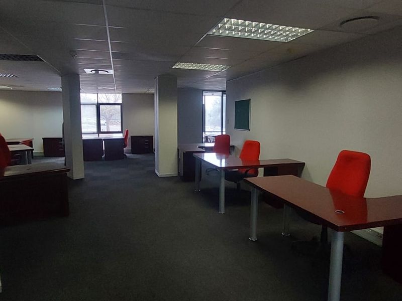 Open-plan commercial office space featuring suspended ceilings, recessed lighting, and carpeted flooring, providing a functional workspace environment.