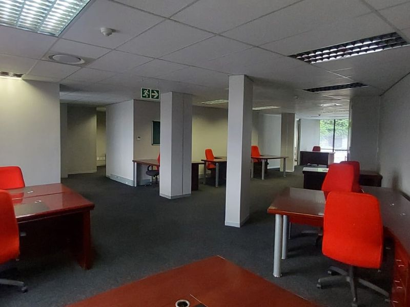 Open-plan commercial office space featuring suspended ceilings, recessed lighting, and structural columns, providing a functional workspace environment.