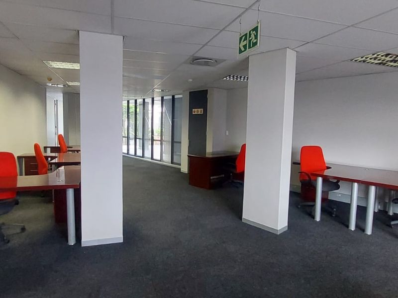 Open-plan commercial office space featuring suspended ceilings, recessed lighting, carpeted flooring, and structural columns, providing a functional workspace environment.