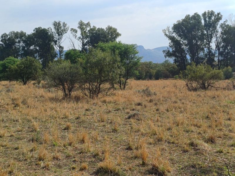 A scenic view of the open farm landscape featuring natural vegetation, mature trees, and distant mountain vistas.