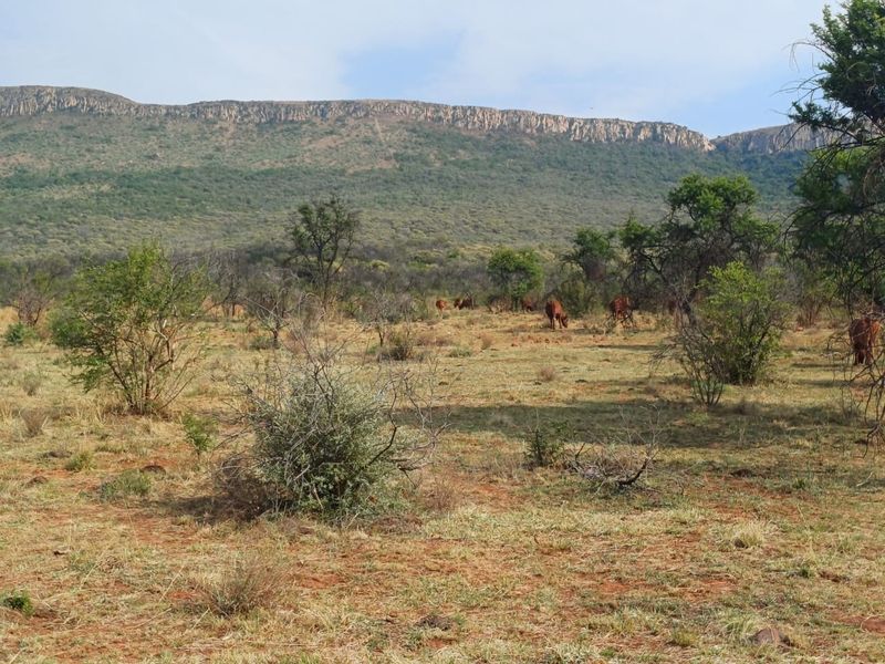 A scenic view of the expansive farm landscape featuring natural vegetation and a prominent mountain range in the background.