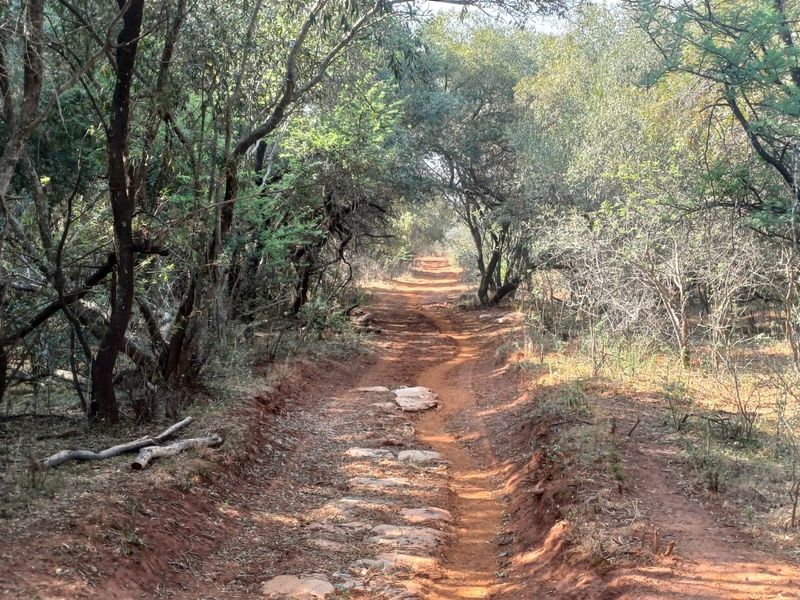 A natural dirt track winding through a wooded area on the farm property, surrounded by native trees and vegetation.