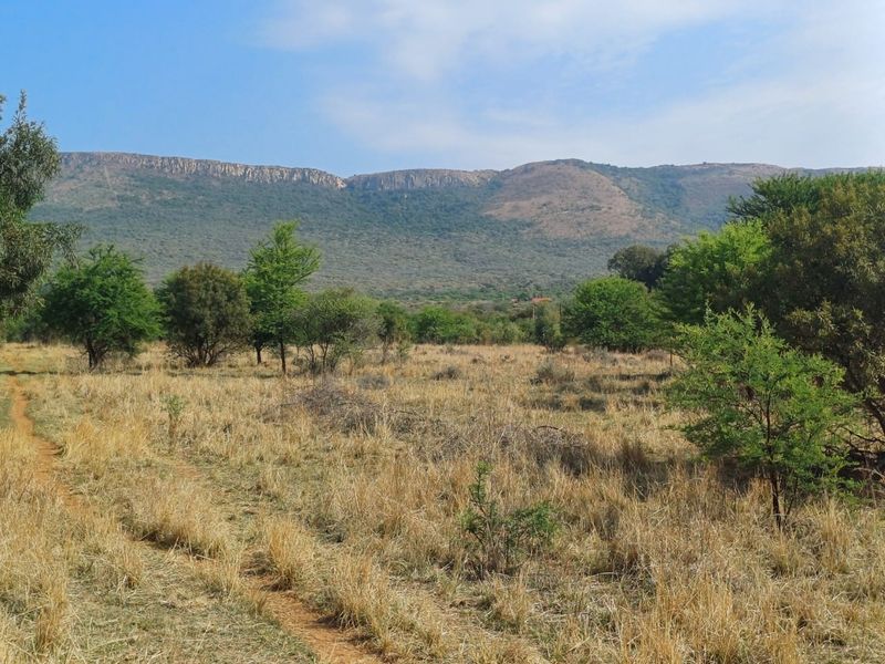 A scenic landscape view of the farm property featuring natural vegetation, open fields, and a prominent mountain range in the background.