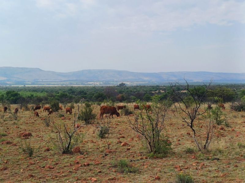 Expansive rural landscape view featuring open grazing land with distant mountain ranges and natural vegetation.