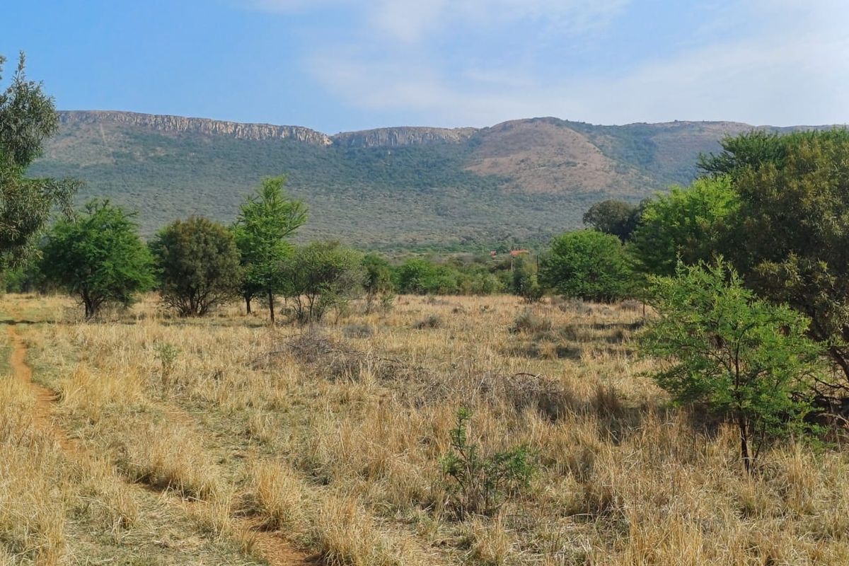 A scenic landscape view of the farm property featuring natural vegetation, open fields, and a prominent mountain range in the background.