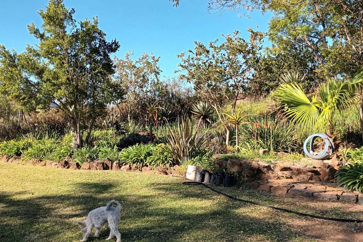 Game/Cattle  Farm for sale in Normandien - Photo 4