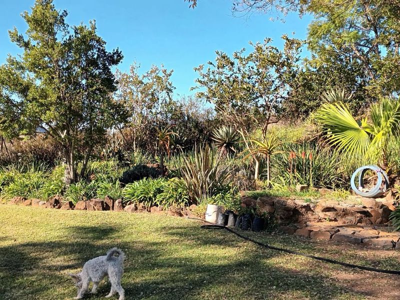 A well-established farm garden featuring mature trees, lush greenery, and a natural stone retaining wall.