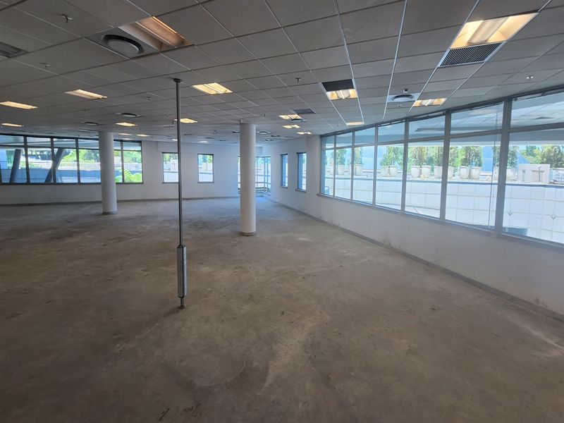 A spacious, open-plan office area featuring large windows, a suspended ceiling with recessed lighting, and exposed concrete flooring, ready for custom fit-out.