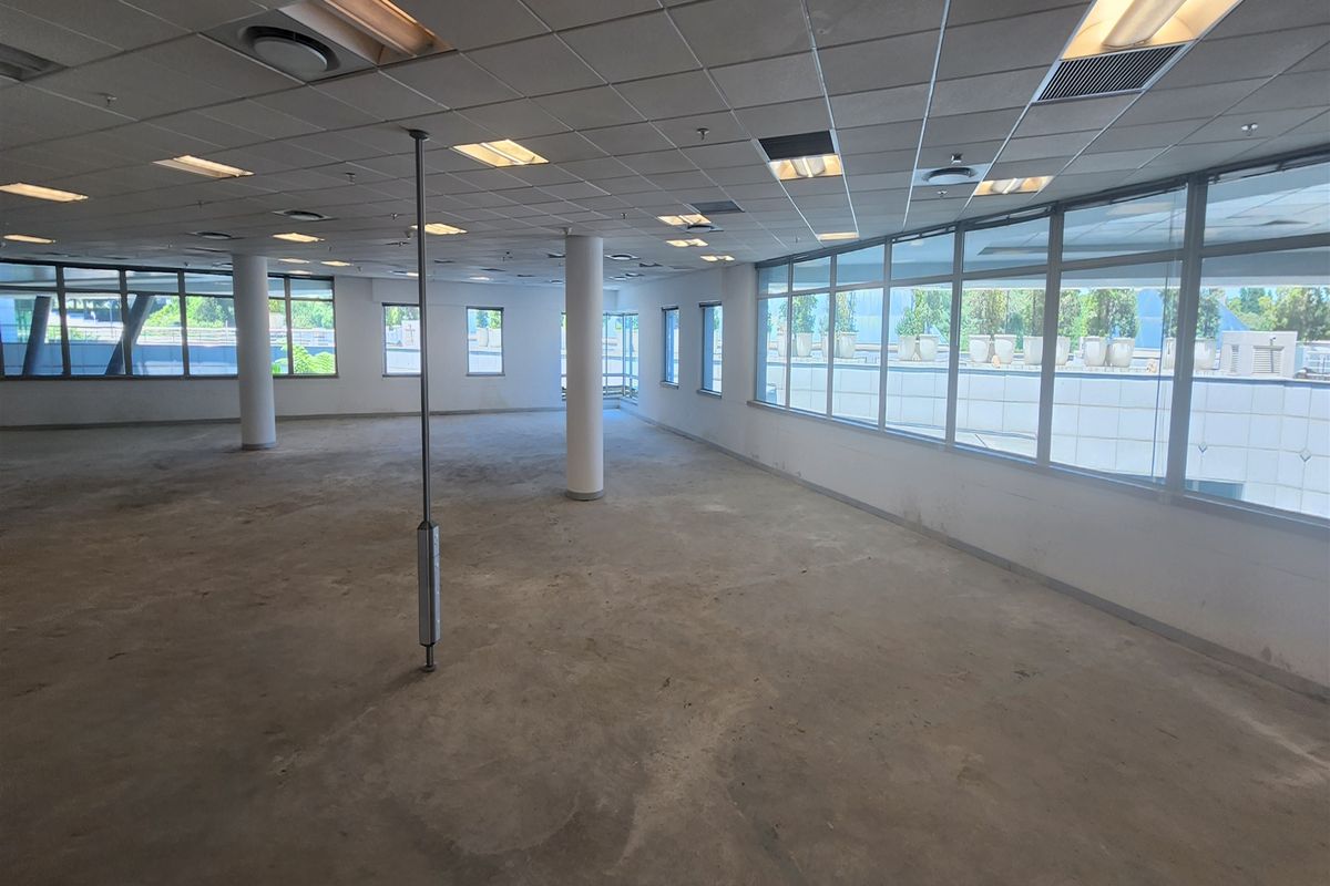 A spacious, open-plan office area featuring large windows, a suspended ceiling with recessed lighting, and exposed concrete flooring, ready for custom fit-out.