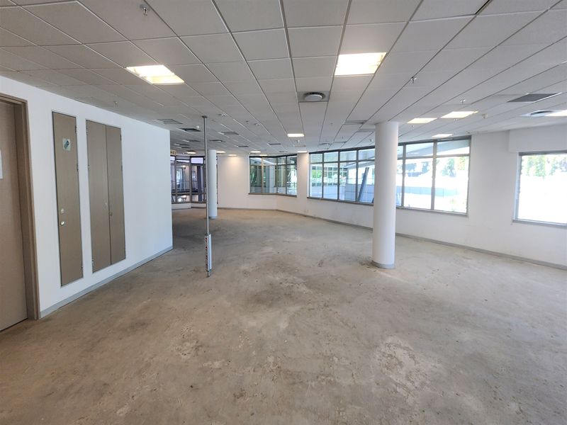A spacious, open-plan office area featuring a suspended ceiling, recessed lighting, large windows for natural light, and unfinished concrete flooring.