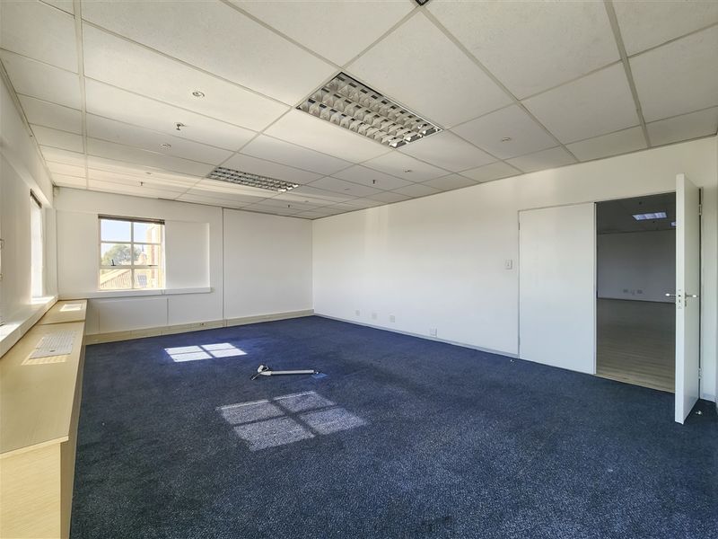 A spacious, empty office area featuring a suspended ceiling with recessed lighting, blue carpeting, and built-in cabinetry along the window wall.