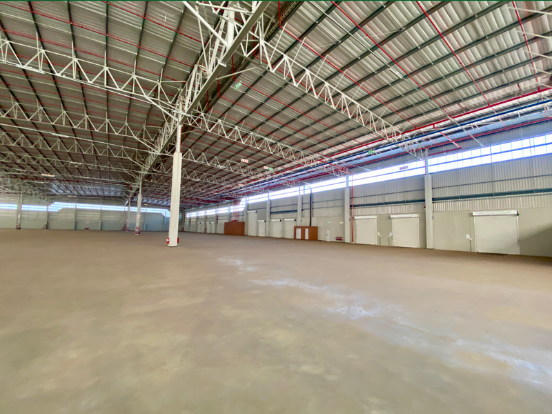 Spacious industrial warehouse featuring high ceilings with exposed steel trusses, concrete flooring, fire sprinkler system, and multiple roller shutter doors for efficient access.