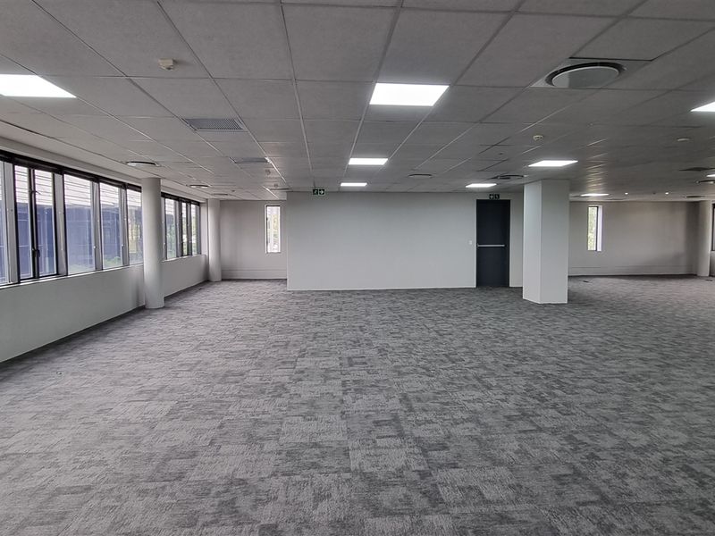 A spacious, open-plan office area featuring neutral carpet tiles, a suspended ceiling with recessed lighting, and extensive windows providing ample natural light.